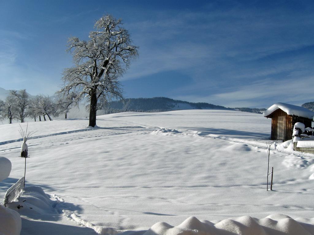 Schweizer Hof Villa Schwarzenberg Exterior photo